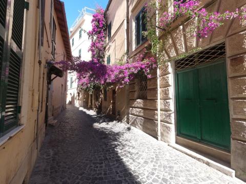 Via Sacchi