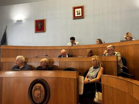 Il Sindaco in consiglio comunale Il Sindaco in consiglio comunale