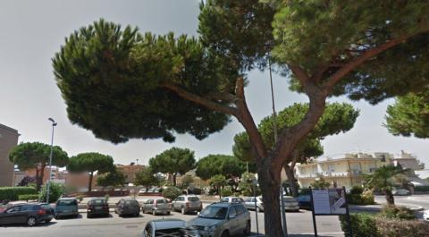 La piazza di fronte la chiesa di Sant'Anna a Nettuno La piazza di fronte la chiesa di Sant'Anna a Nettuno